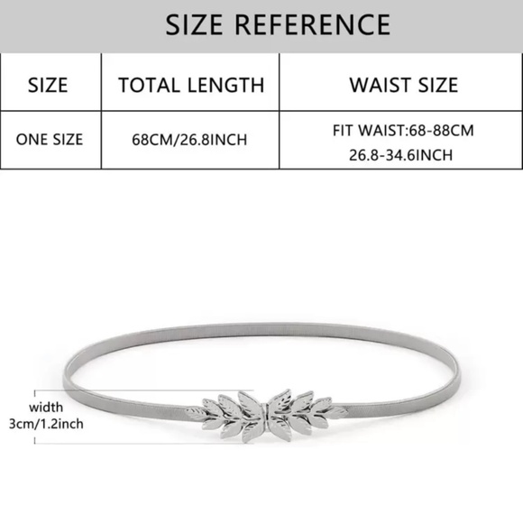 Silver belt - Picture 1 of 5